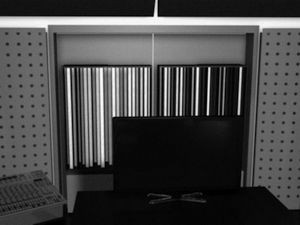 Mindprint Studiowandler AN/DI Pro